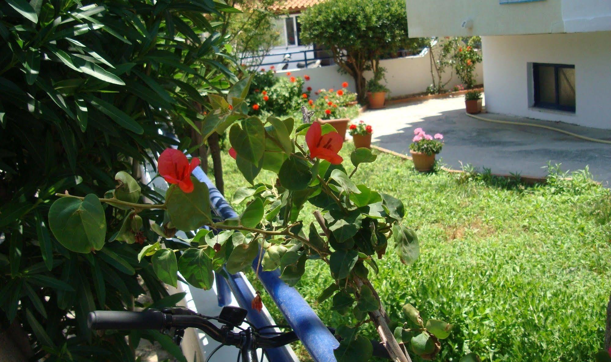 Philippos Studios & Apartments Kardamena  Exteriör bild